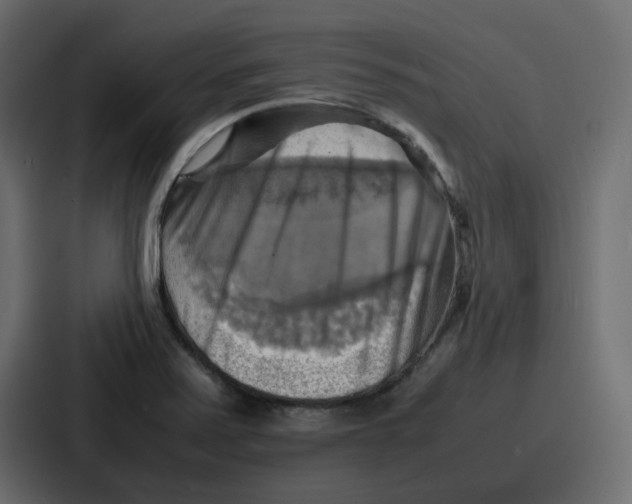 X0000086771371200705111727