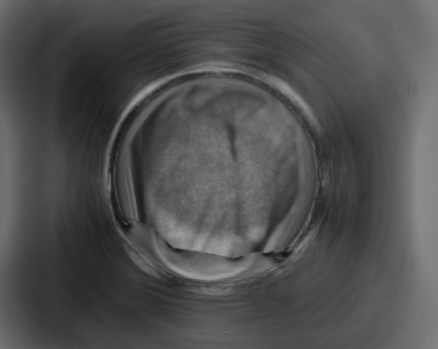 X0000086771372200705111726
