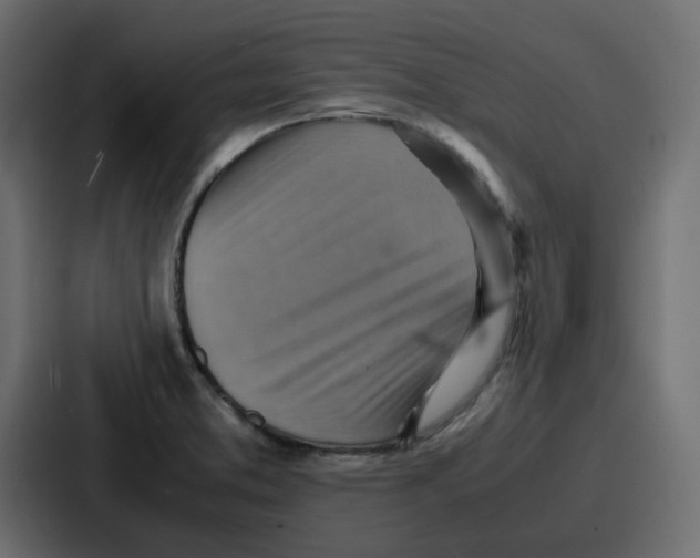 X0000086771373200705111726