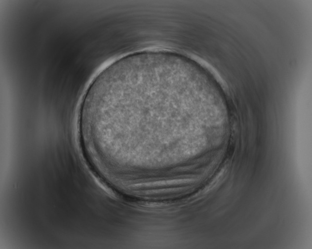 X0000086771375200705111726