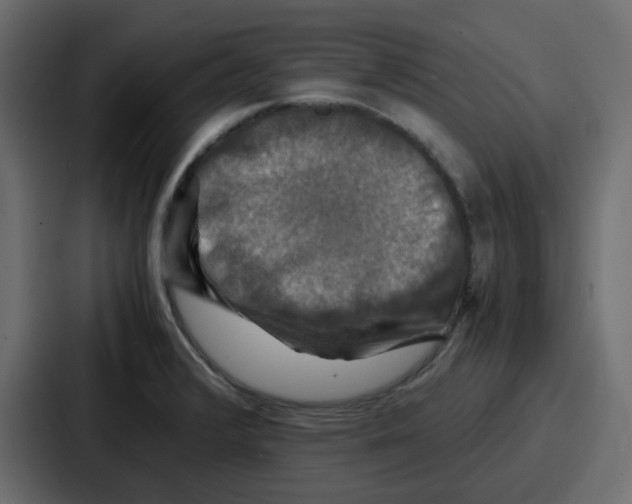 X0000086771376200705111726