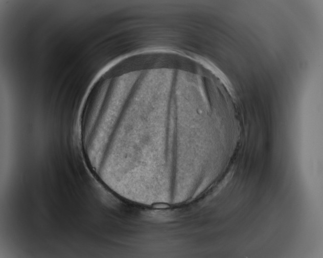 X0000086771380200705111726