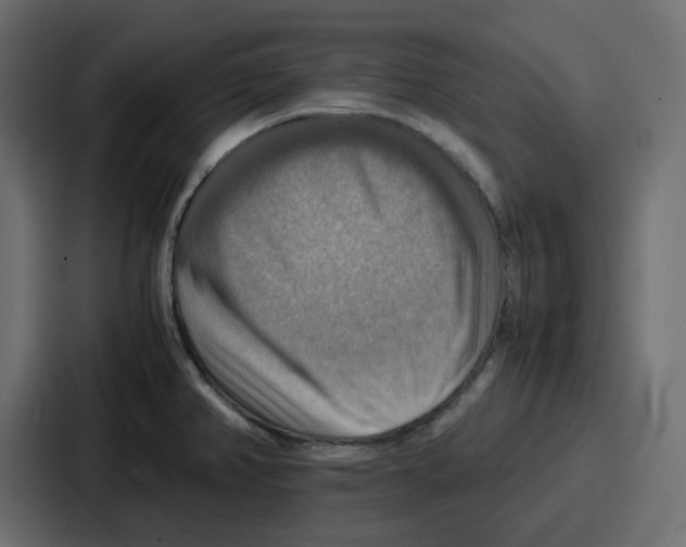 X0000086771382200705111726