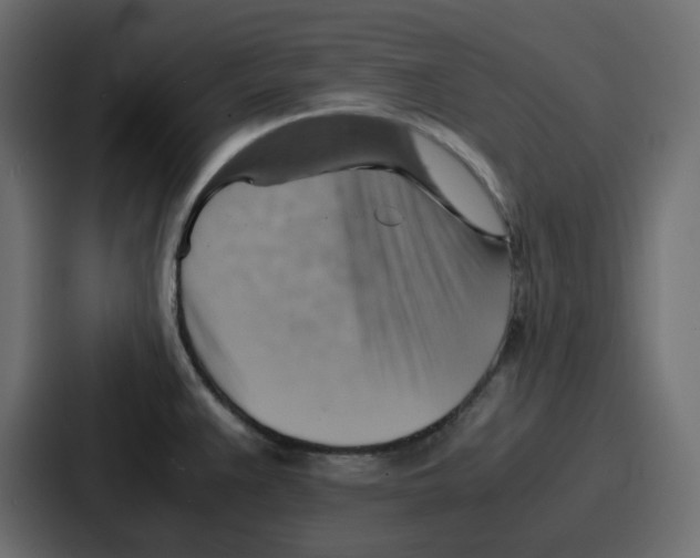 X0000086771383200705111726