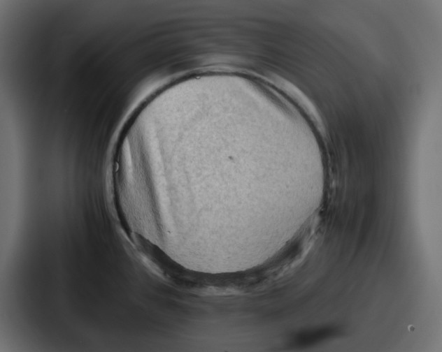 X0000086771384200705111726