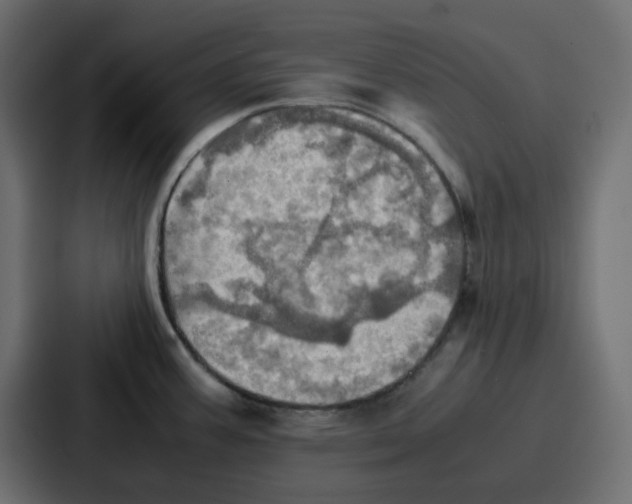 X0000086771387200705111726