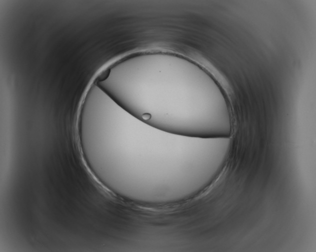 X0000086771388200705111726