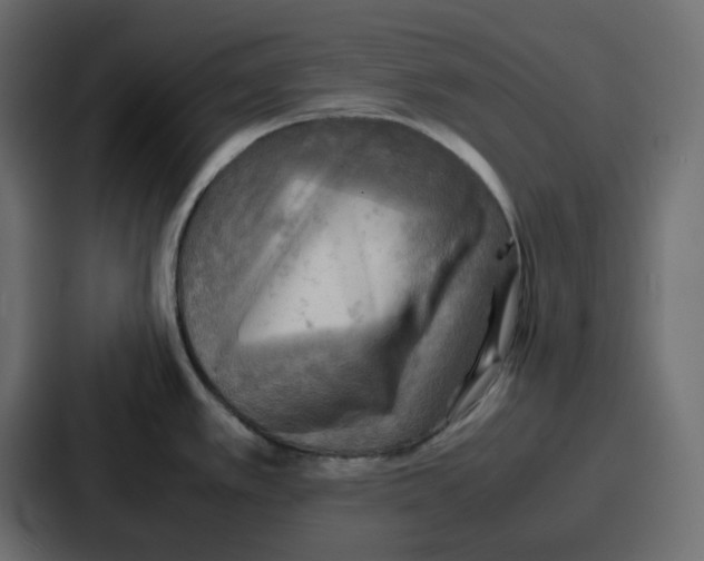 X0000086771389200705111726