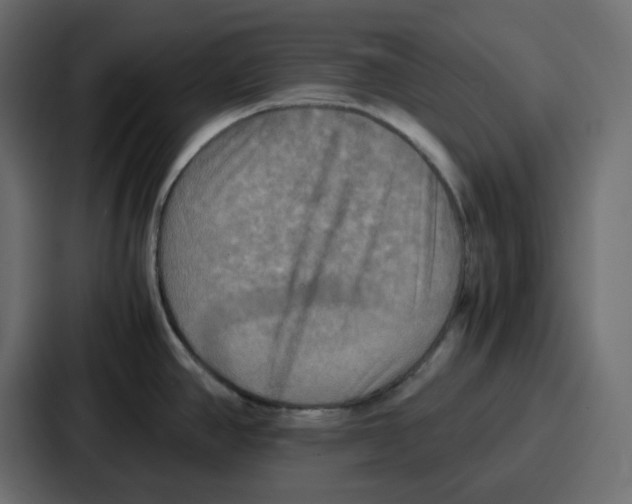 X0000086771390200705111726