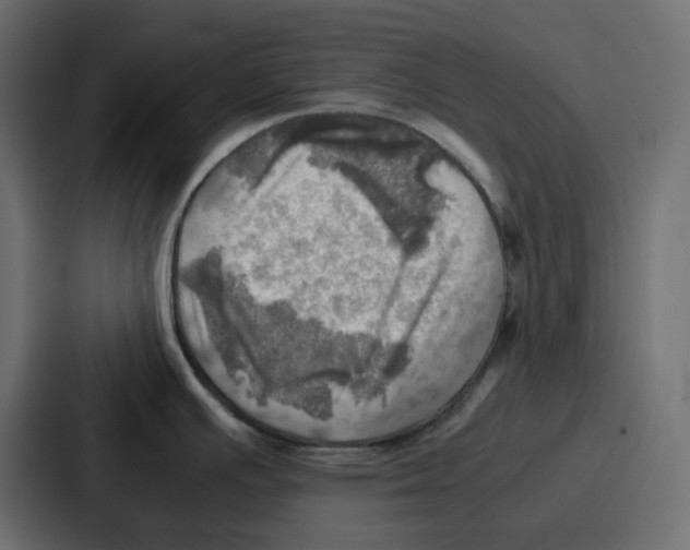 X0000086771391200705111726