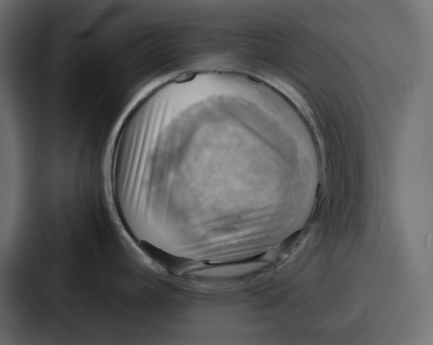 X0000086771392200705111726