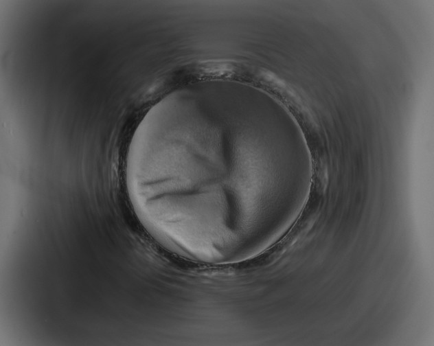 X0000086771394200705111726