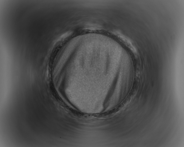 X0000086771398200705111726