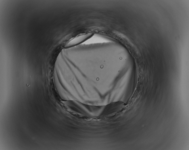 X0000086771399200705111726