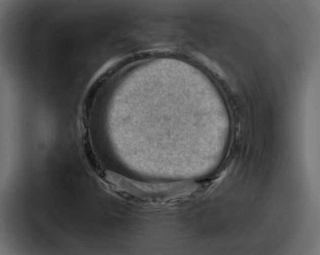 X0000086771400200705111726