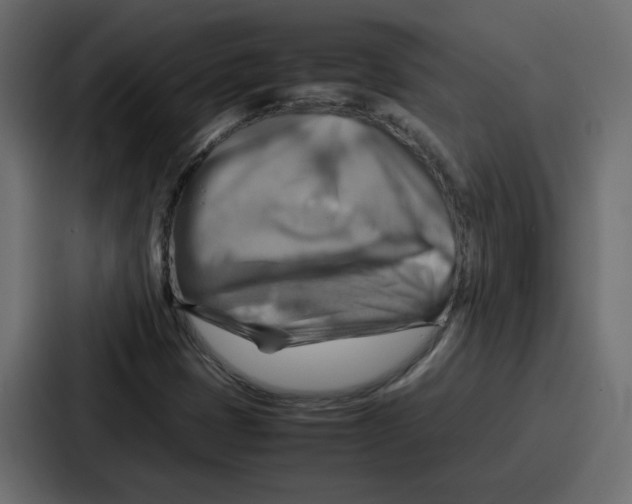 X0000086771401200705111726