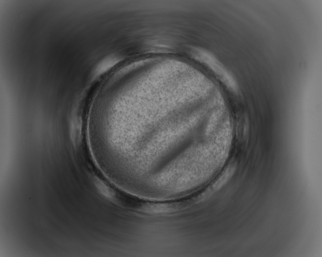 X0000086771402200705111726