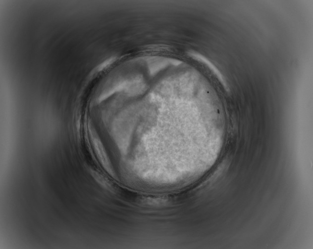X0000086771403200705111726