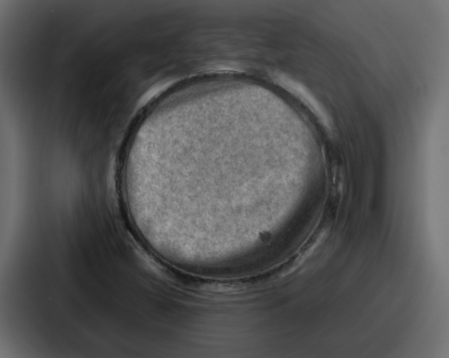 X0000086771404200705111726