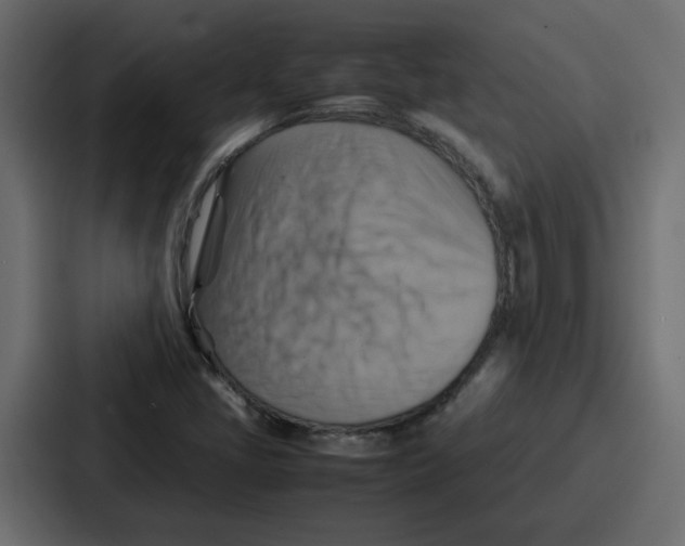 X0000086771405200705111726