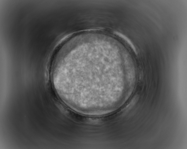 X0000086771407200705111726