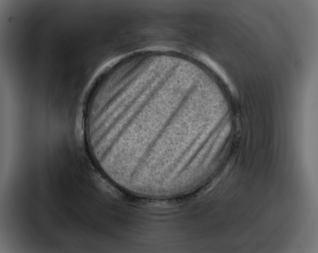 X0000086771408200705111726