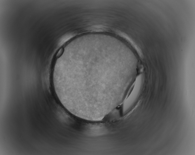 X0000086771410200705111726