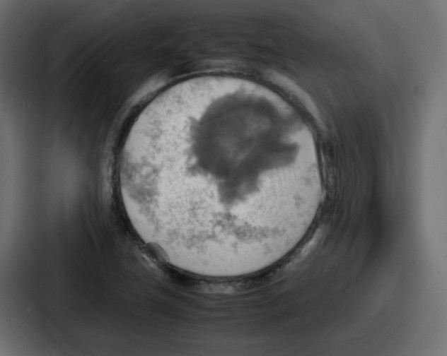 X0000086771411200705111726