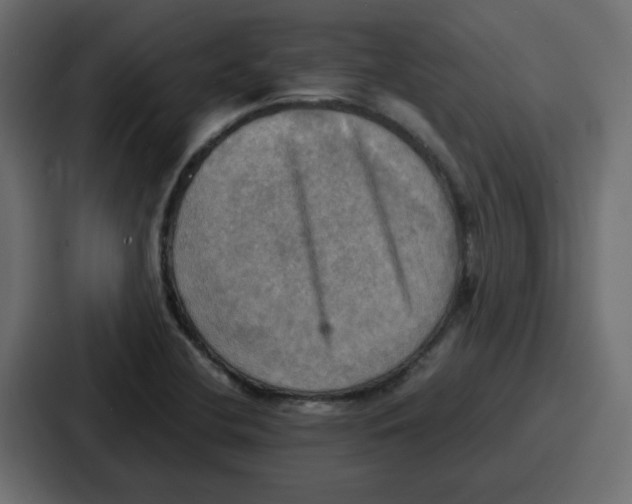 X0000086771412200705111726