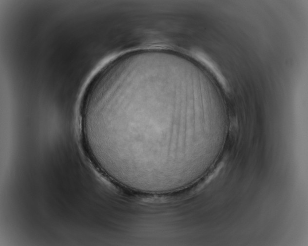 X0000086771414200705111726