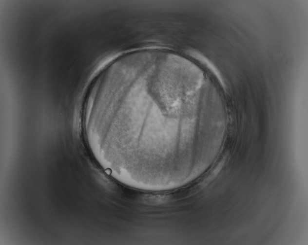 X0000086771415200705111726