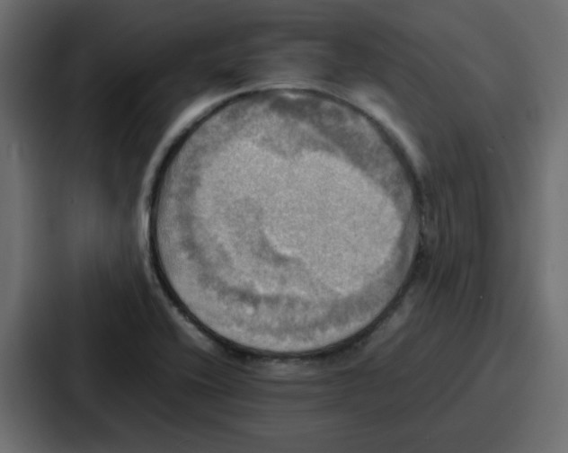 X0000086771416200705111726