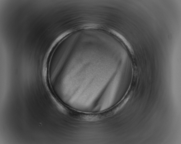 X0000086771418200705111726