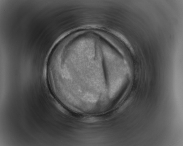 X0000086771420200705111726