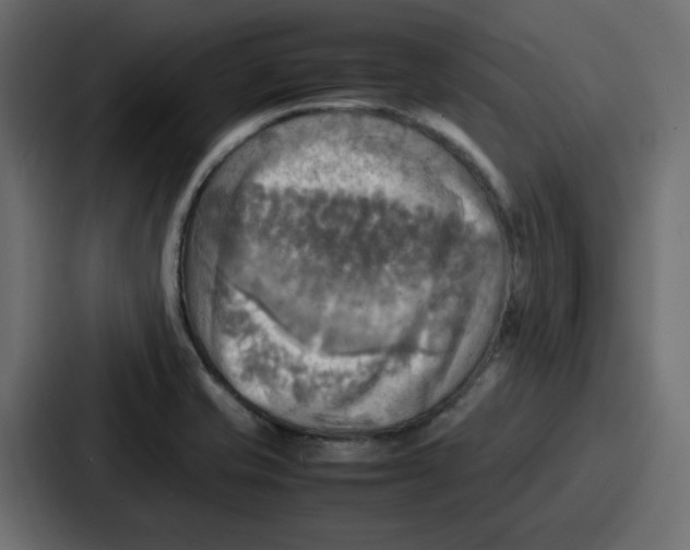 X0000086771421200705111726