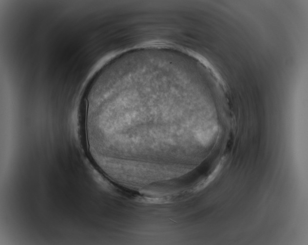 X0000086771422200705111726