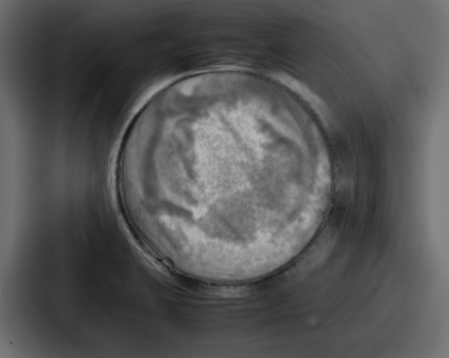 X0000086771423200705111726