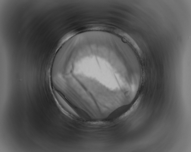 X0000086771425200705111726