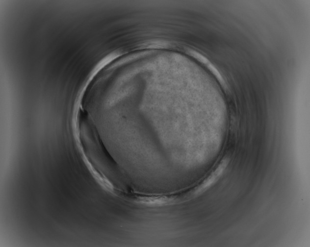 X0000086771426200705111726