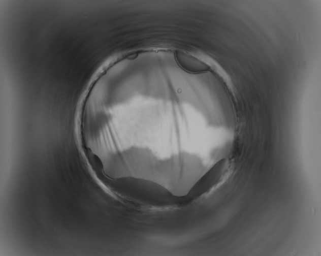 X0000086771429200705111726
