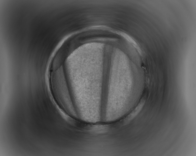 X0000086771430200705111726