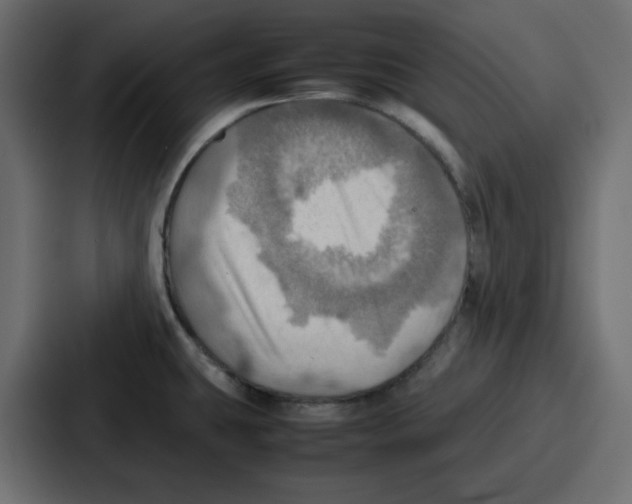 X0000086771431200705111726