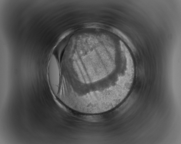 X0000086771433200705111726