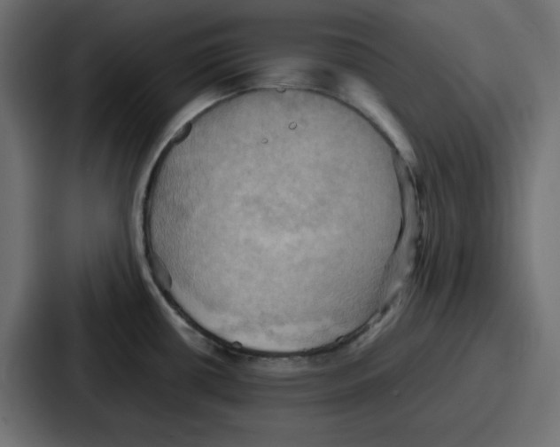 X0000086771434200705111726
