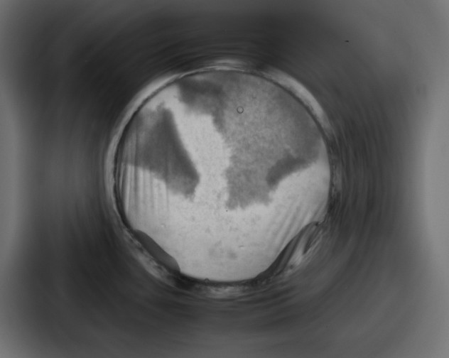 X0000086771435200705111726