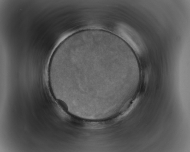 X0000086771436200705111726