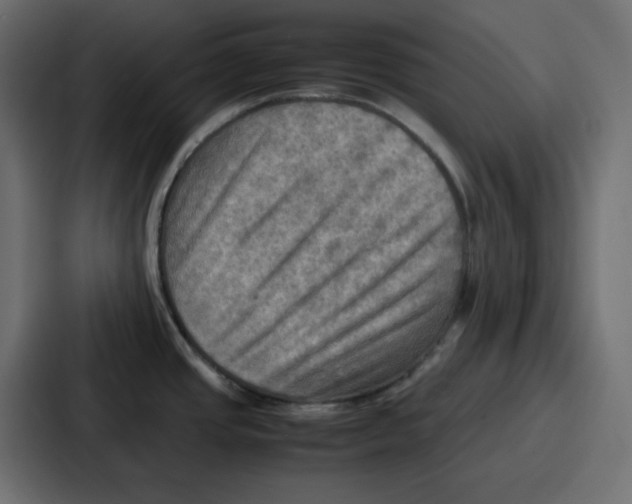X0000086771437200705111726