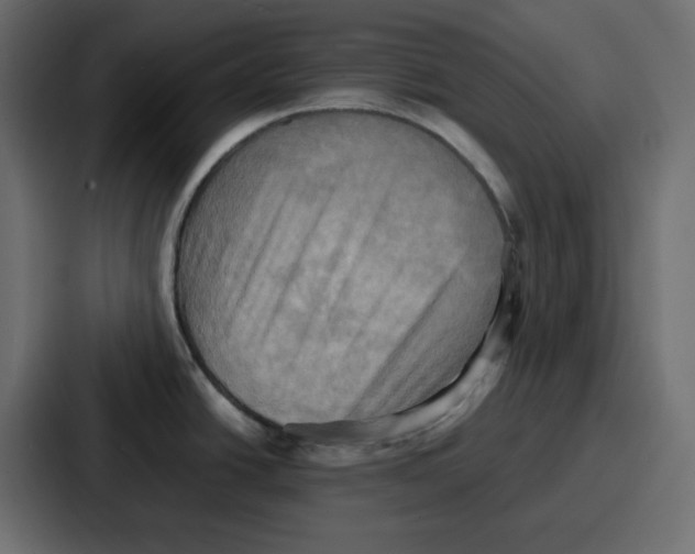 X0000086771438200705111726
