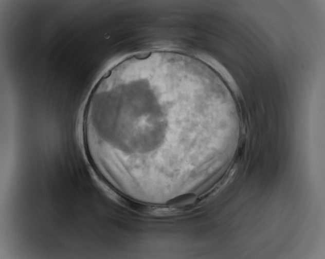 X0000086771439200705111726