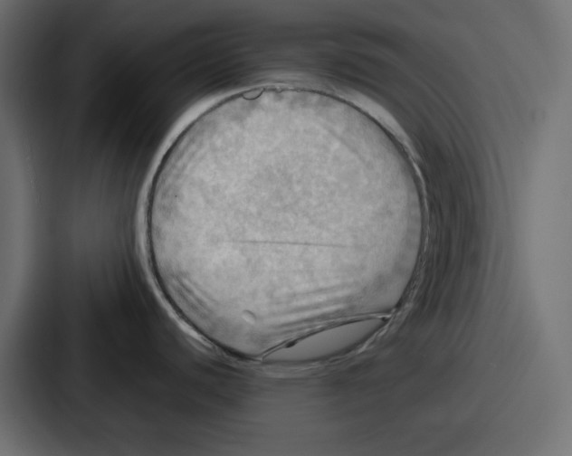 X0000086771440200705111726